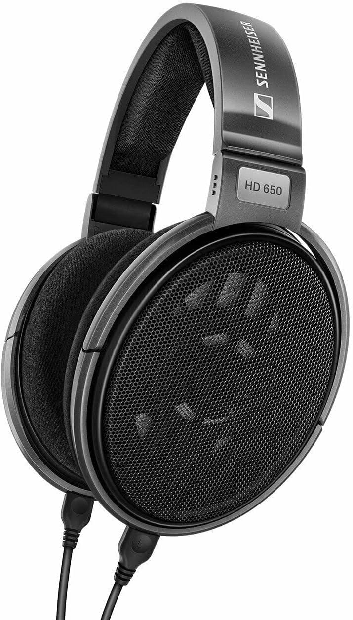 Sennheiser Consumer Audio HD 650